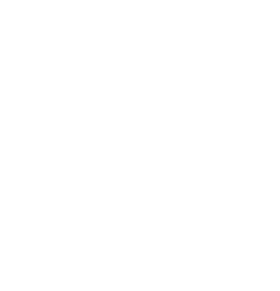 riskvalue logo